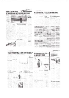 《足迹》2016 年刊 第 217 页